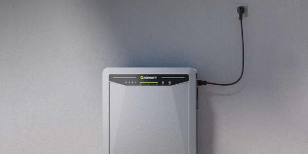 "Aanzienlijk goedkoper": 6.000 Vlamingen haalden vorig jaar stekkerbatterij in huis